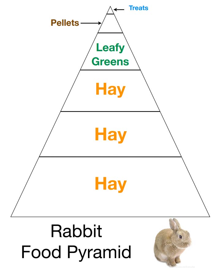 Rabbit Food Pyramid