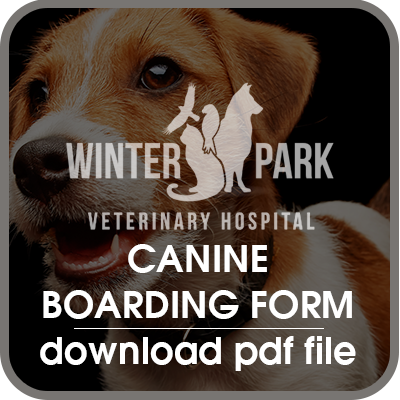 Canine Boarding Form for Winter Park Veterinary Hospital