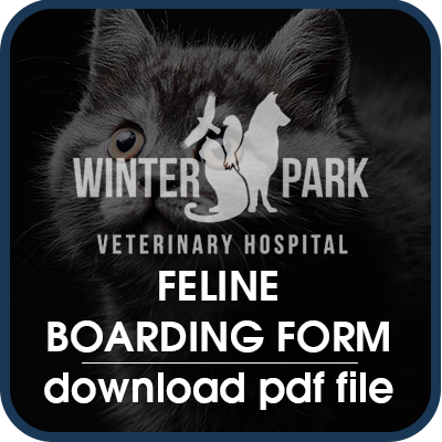 Feline Boarding Form for Winter Park Veterinary Hospital
