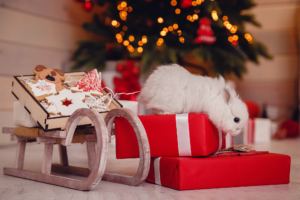 Winter Park Veterinary Hospital