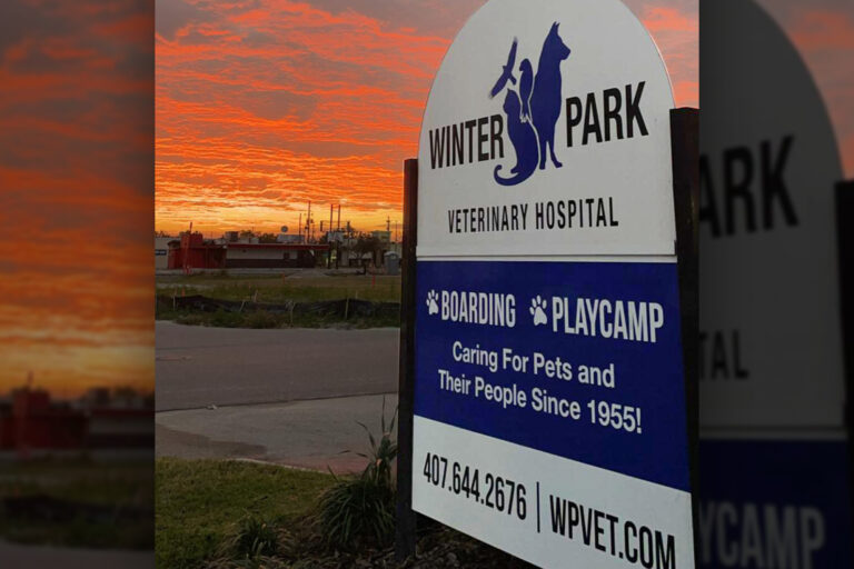 New Levels of Client Care at Winter Park Veterinary Hospital
