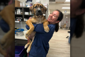 Winter Park Vet’s Upcoming Extended Hours Concierge Urgent Care Facility opening May 06!