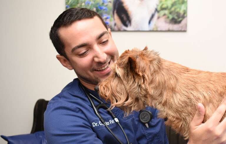 THE IMPORTANCE OF HAVING A ESTABLISHED VETERINARY AND REGULAR PHYSICAL EXAMS FOR YOUR BELOVED PET