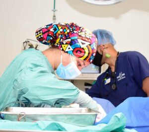exotic-pet-Small Mammal Surgery