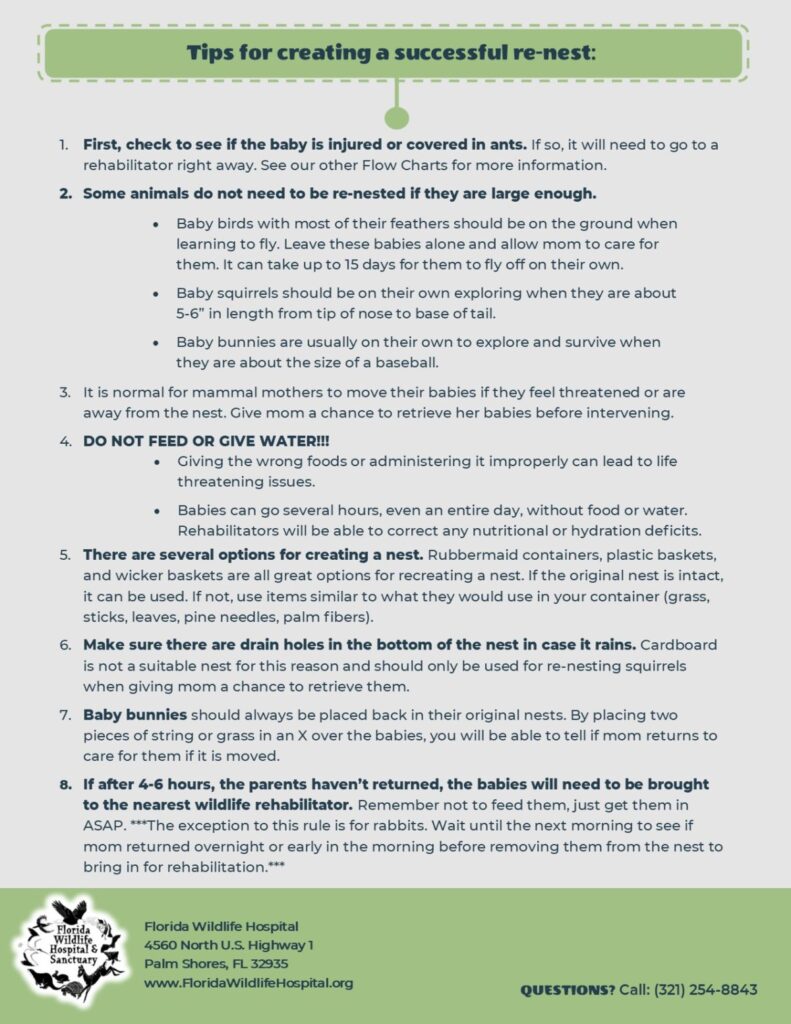 Re-Nest-is-Best-2-1200x1553