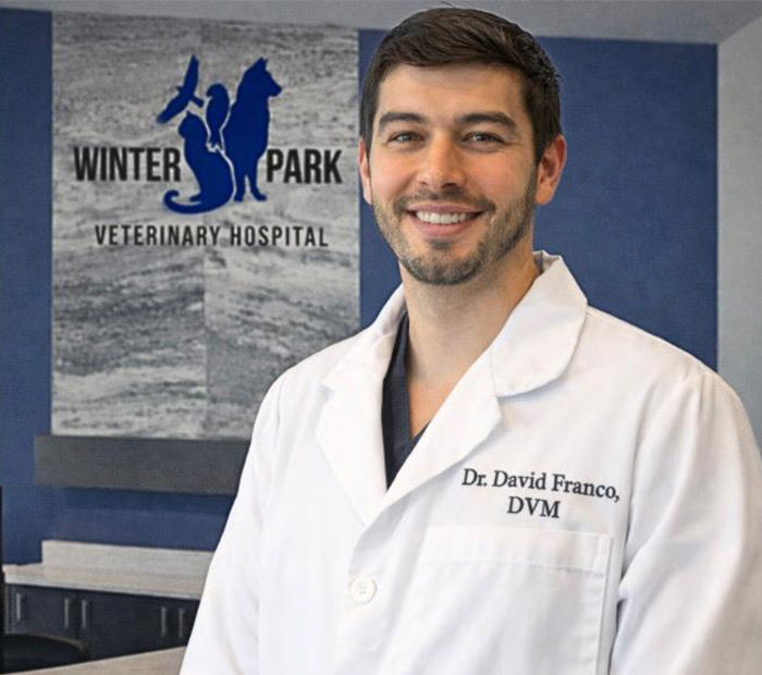 Meet Dr. David Franco, DVM