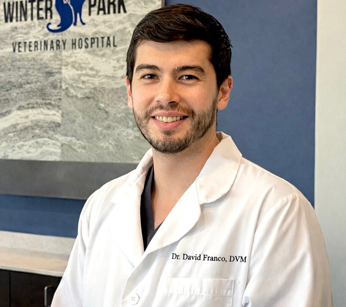 Meet Dr. David Franco, DVM